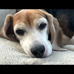 Meet your Posher, Tracy